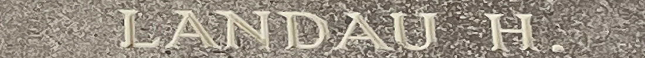 Sgt Henry Landau<br/><br /><br />missing January 22nd, 1944<br /><br /><br />No Known Grave<br /><br /><br />Commemorated: Runnymede Memorial, Surrey, England<br /><br /><br />Panel 233